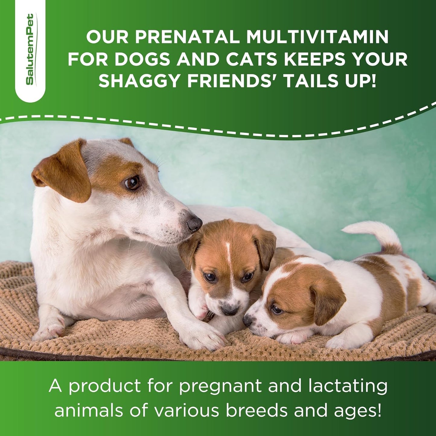 Dog Prenatal Vitamins for Moms During Lactating – Prenatal Vitamins for Dogs & Cats of All Breeds to Care for Pet Development – Multivitamin for Cats – 2 Oz – Herbal Supplement for Pets