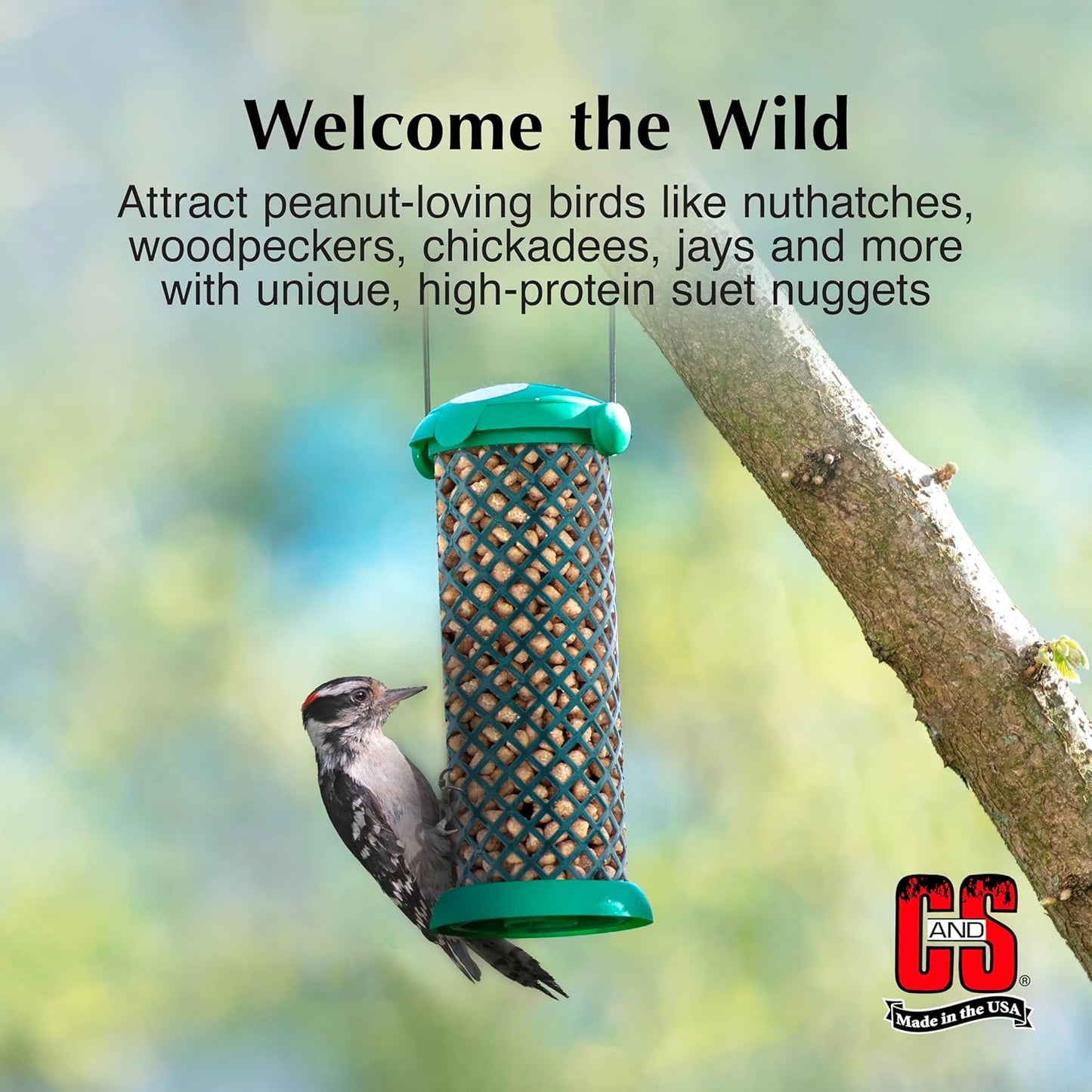 C&S Peanut Suet Nuggets for wild birds, 27 Ounces