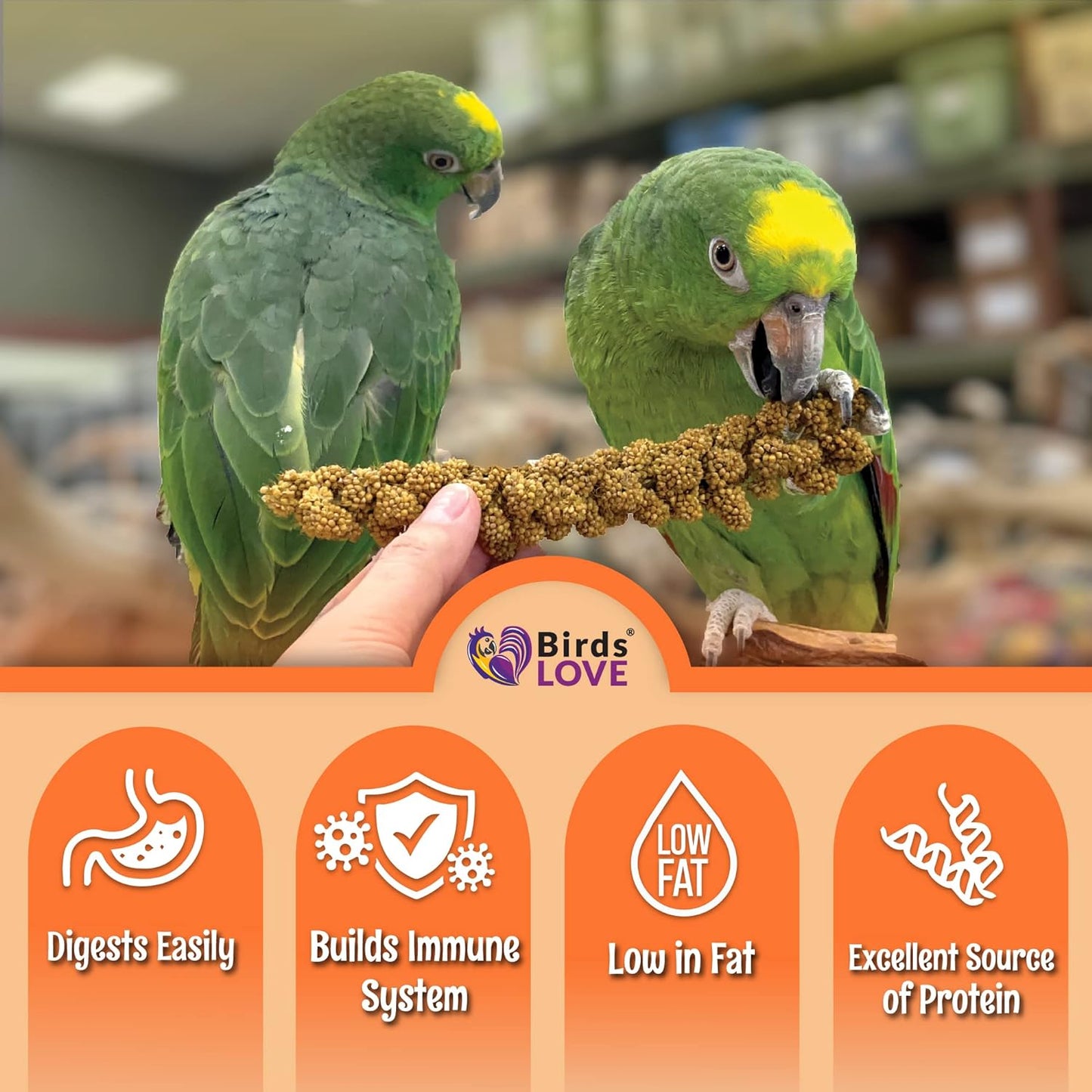Birds LOVE Wholesome & Lovely Spray Millet Non-GMO (No Stems Only Edible Tops) for Parrots Birds Cockatiel Lovebird Parakeets Finch Canary All Parrots Healthy Treat - 5lbs