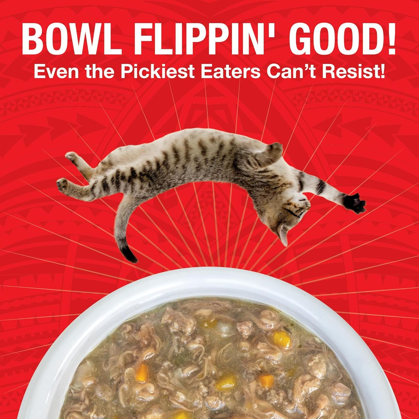 KOHA Pure Shreds Beef Entrée for Cats, Single Meat High Protein Wet Cat Food, 5.5oz Cans (Pack of 12)