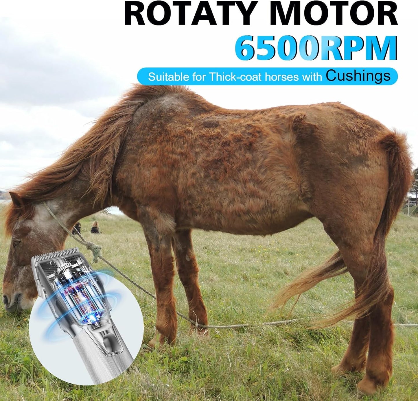 Horse Clippers, Cordless Trimmers Grooming Kit with 2500mAh Battery,Low Noise Heavy Duty Body Clipping Machine with LED Display, Suitable for Horse, Cattle, Cat, Dog with Thick/Tangled Coat