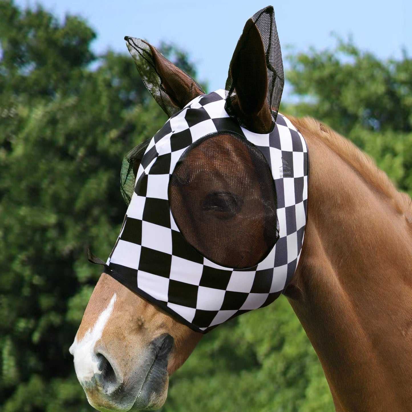 Harrison Howard Super Comfort Stretchy Fly Mask Large Eye Space with UV Protection Soft on Skin with Breathability Checker Board S