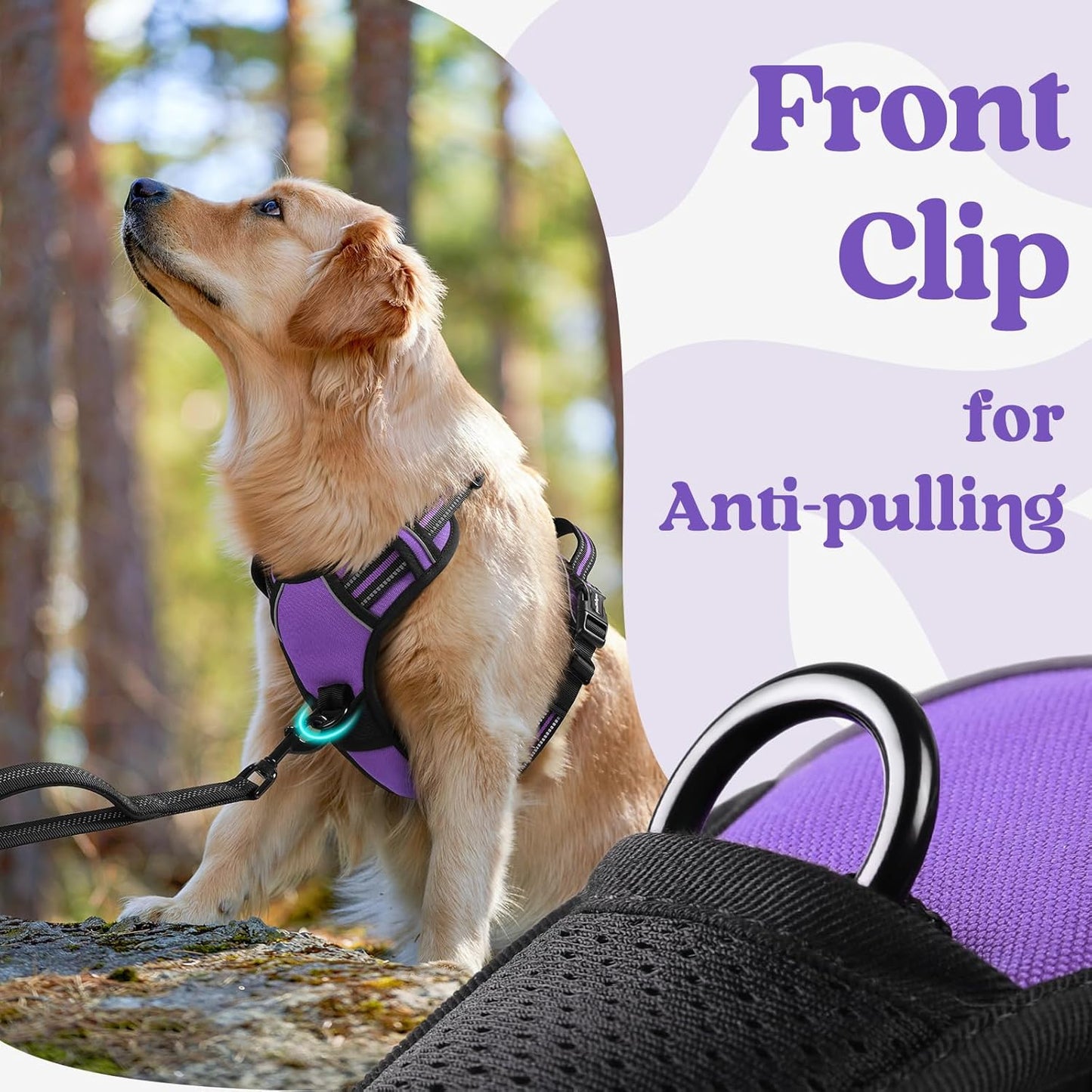 rabbitgoo Dog Harness for Large, No Pull Pet Harness with 3 Buckles, Adjustable Soft Padded Vest with Control Handle, Walking Reflective Pet Vest for Extra Large Dogs, Purple, XL