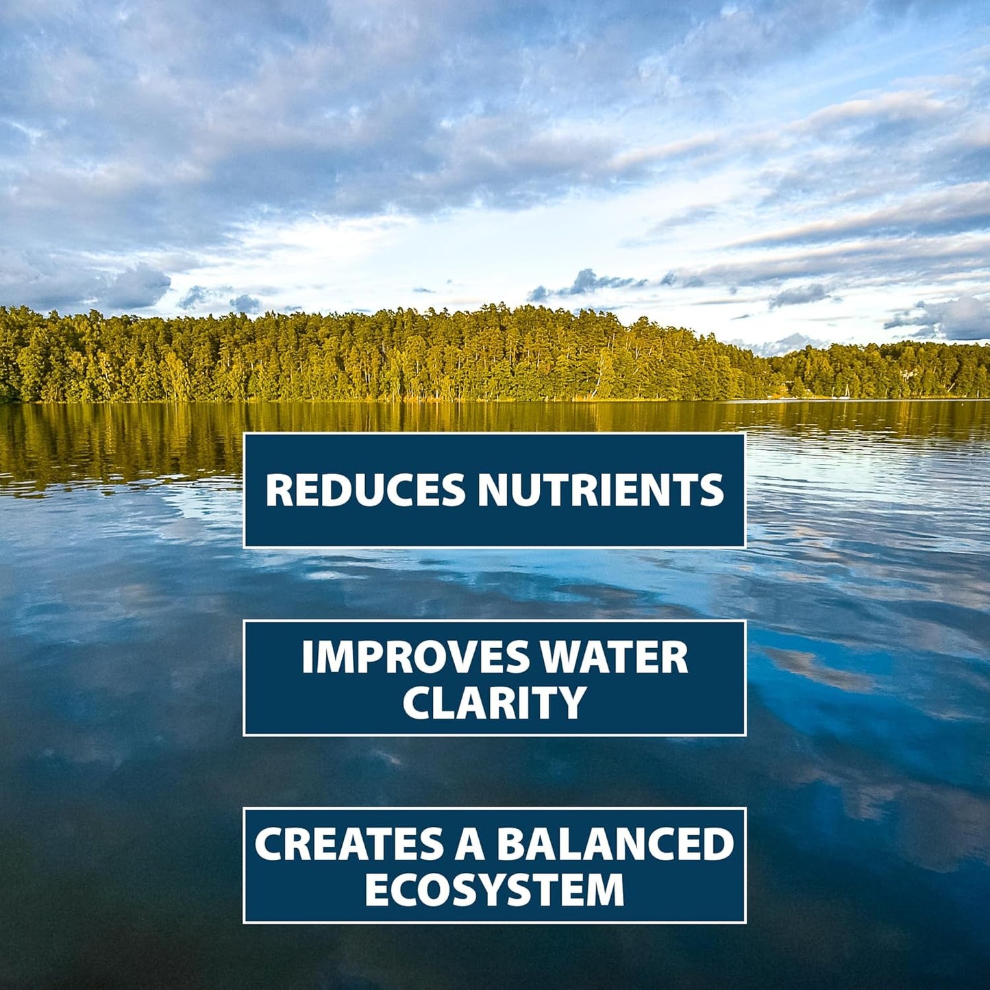 Airmax PondClear Packets, Beneficial Bacteria & Enzyme Clarifier Treatment with Ecoboost PRx, Clear & Clean Pond & Lake Water, Safe for Fish, 96 Count