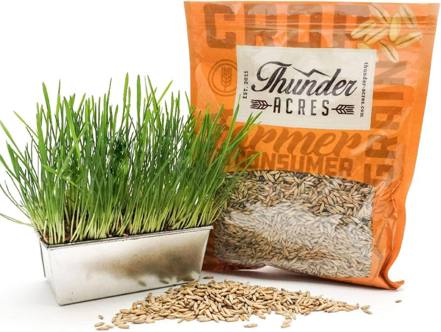 Thunder Acres Non GMO, Certified Organic, Oat Seed (1 lb.)