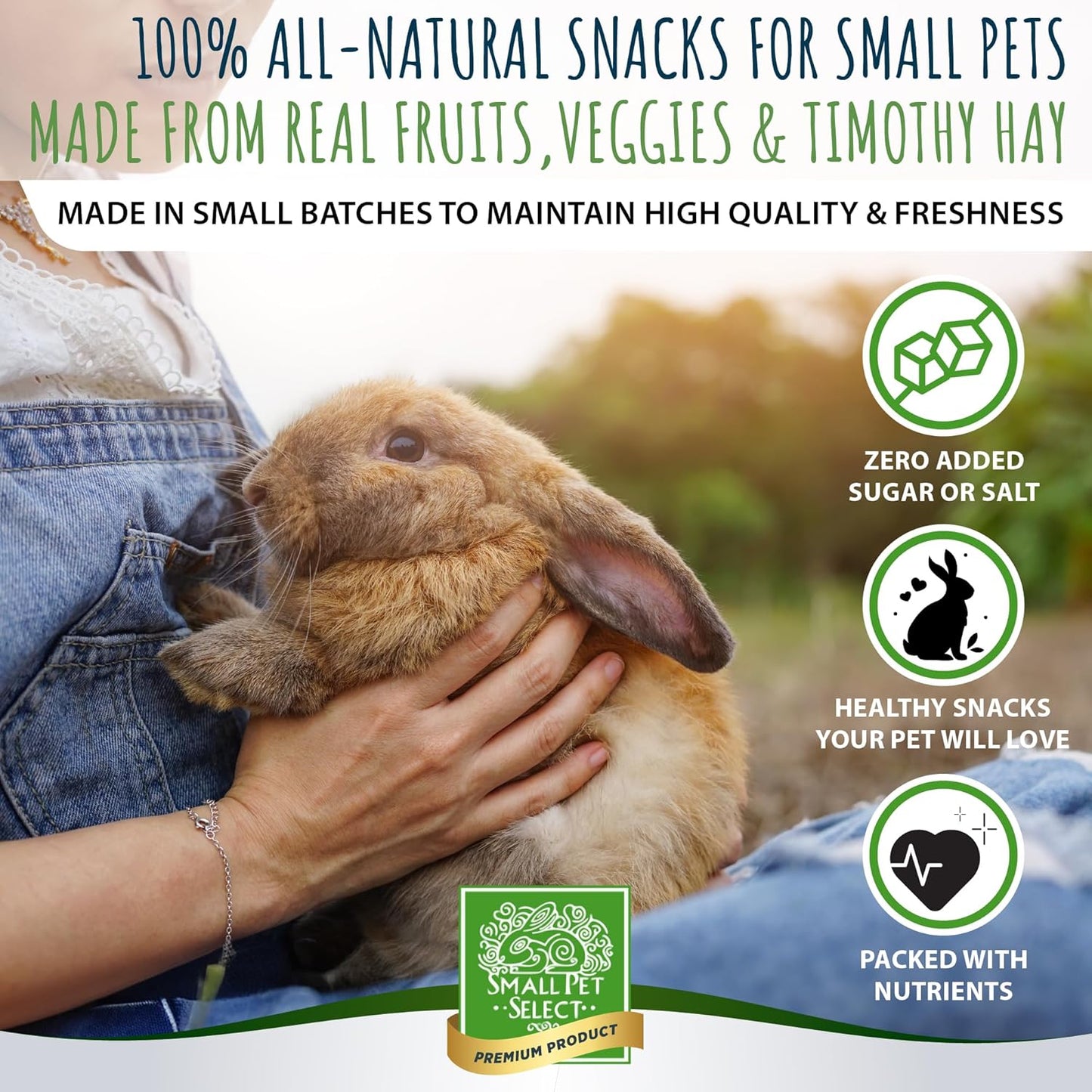 Small Pet Select - Healthy Snackers - Banana