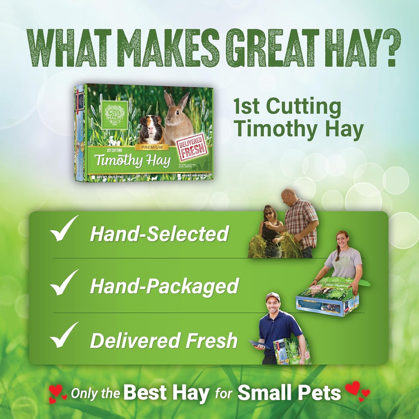 Small Pet Select 1st Cutting Timothy Hay, Animal Food for Guinea Pig, Rabbit, Hamster, Bunny, or Chinchilla, Natural Hay Grown in The USA, 40lb