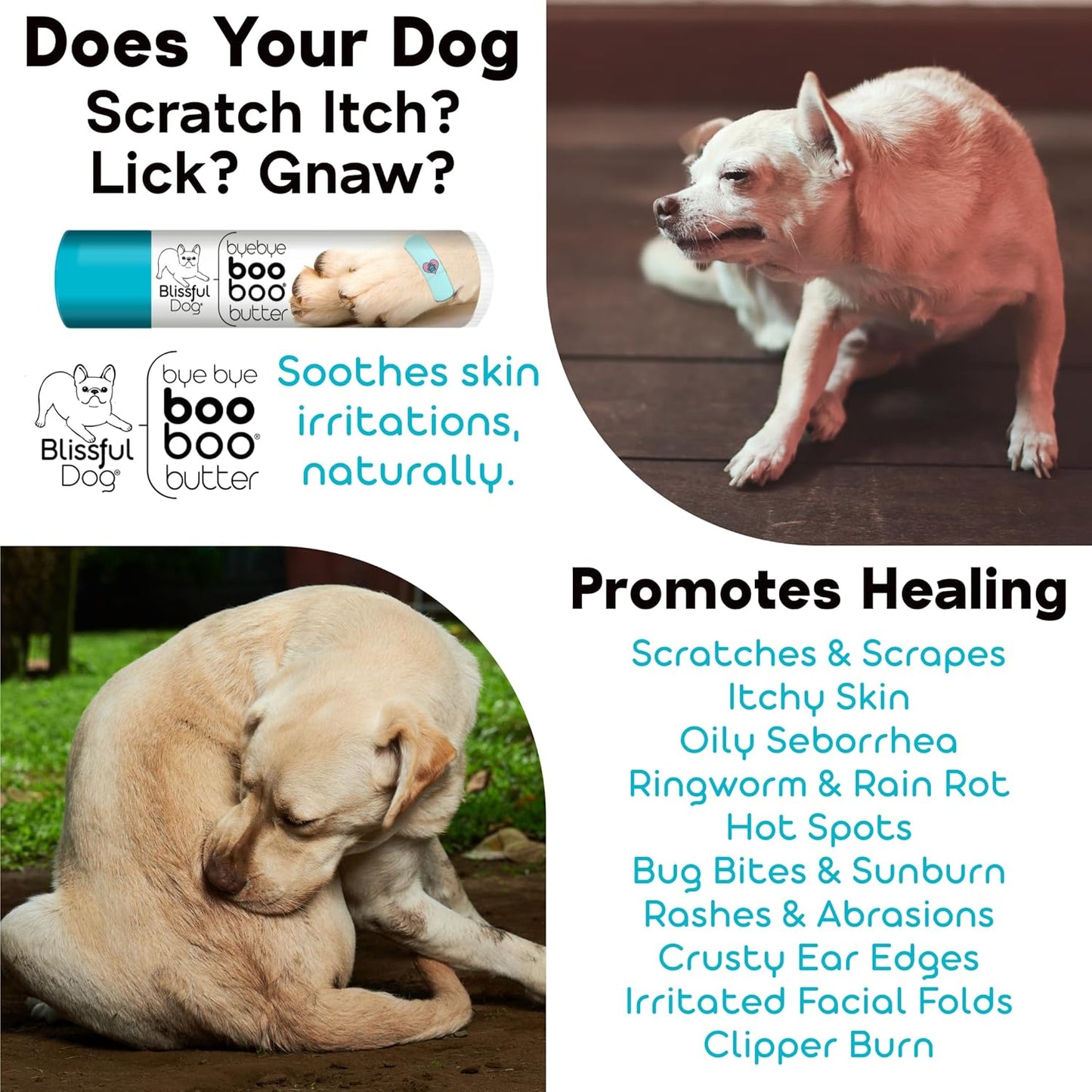 The Blissful Dog .15 oz Tube Chow Booboo Butter