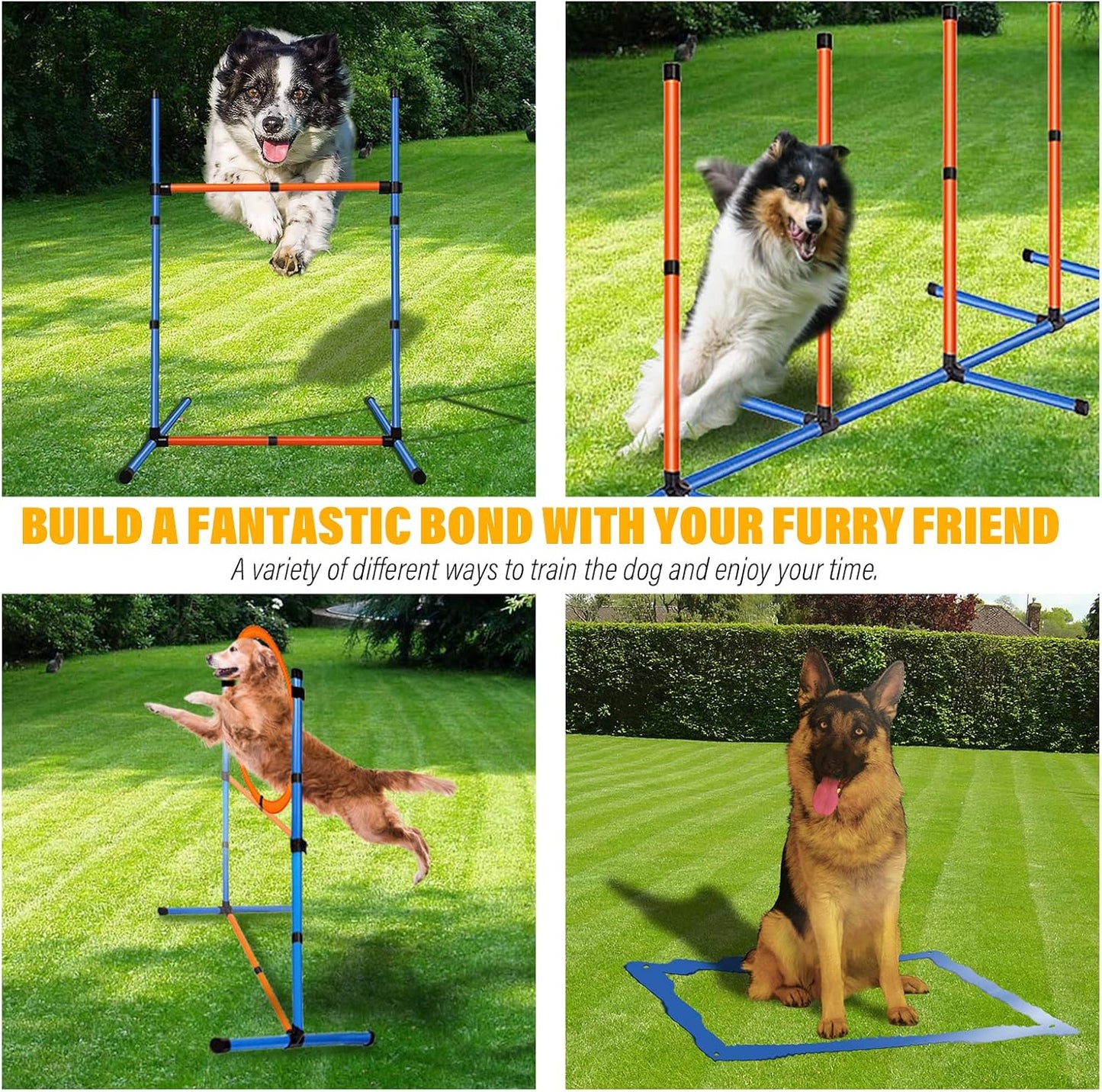 Dog Agility Equipment Set, Obstacle Courses Training Starter Kit Includes Adjustable High Jump Hurdle, Hoop, Weave Poles, Pause Box, Treat Pouch with Easy Carry Bag