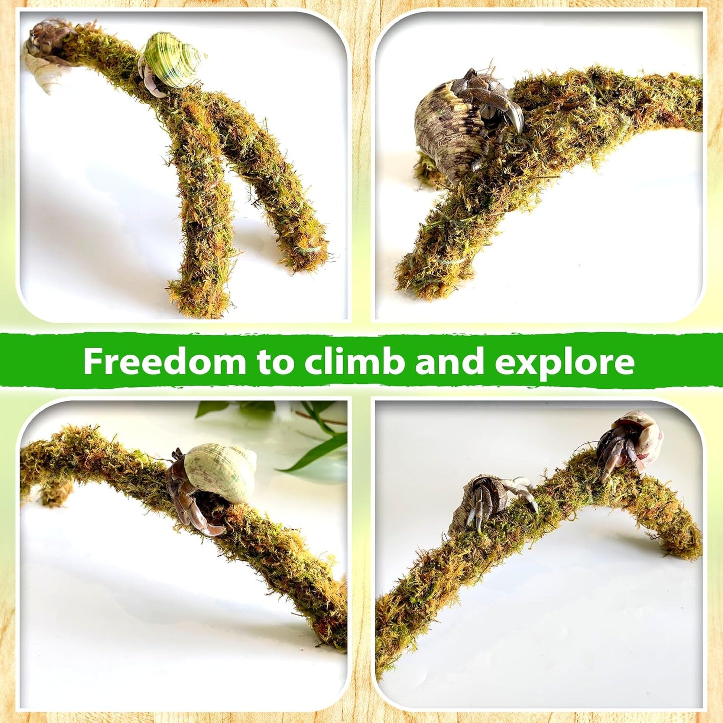 Duspro Hermit Crab Climbing Toys โ Y Shaped Flexible Moss Pole Wrapped in Soft Yarn and Forest Moss, Hermit Crab Accessories and Easy-to-Use Hermit Crabs Supplies โ Perfect for Climbing (12 inches)