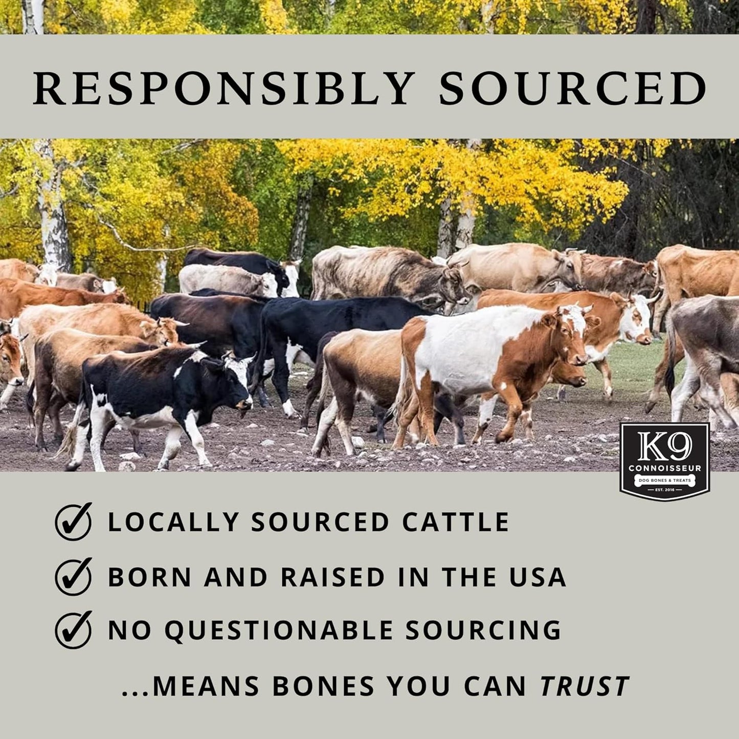 K9 Connoisseur Dog Bones Made in USA for Large Breed Aggressive Chewers All Natural Long Lasting Meaty Mammoth Marrow Filled Bone Chew Treat Best for Dogs Over 50 Pounds (8 Pack)
