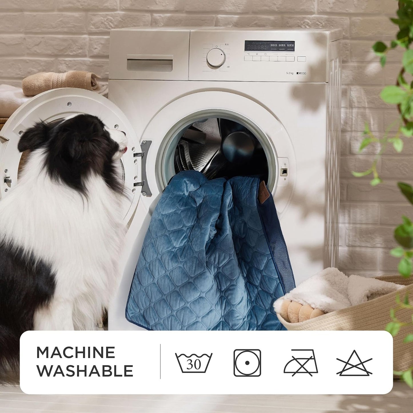 Bedsure Orthopedic Dog Bed for Medium Dogs - Flat Memory Foam Pet Mattress with Removable Washable Cover and Egg Crate Foam, Suitable for Pet Up to 35 lbs, 30x20x3 Inches, Navy