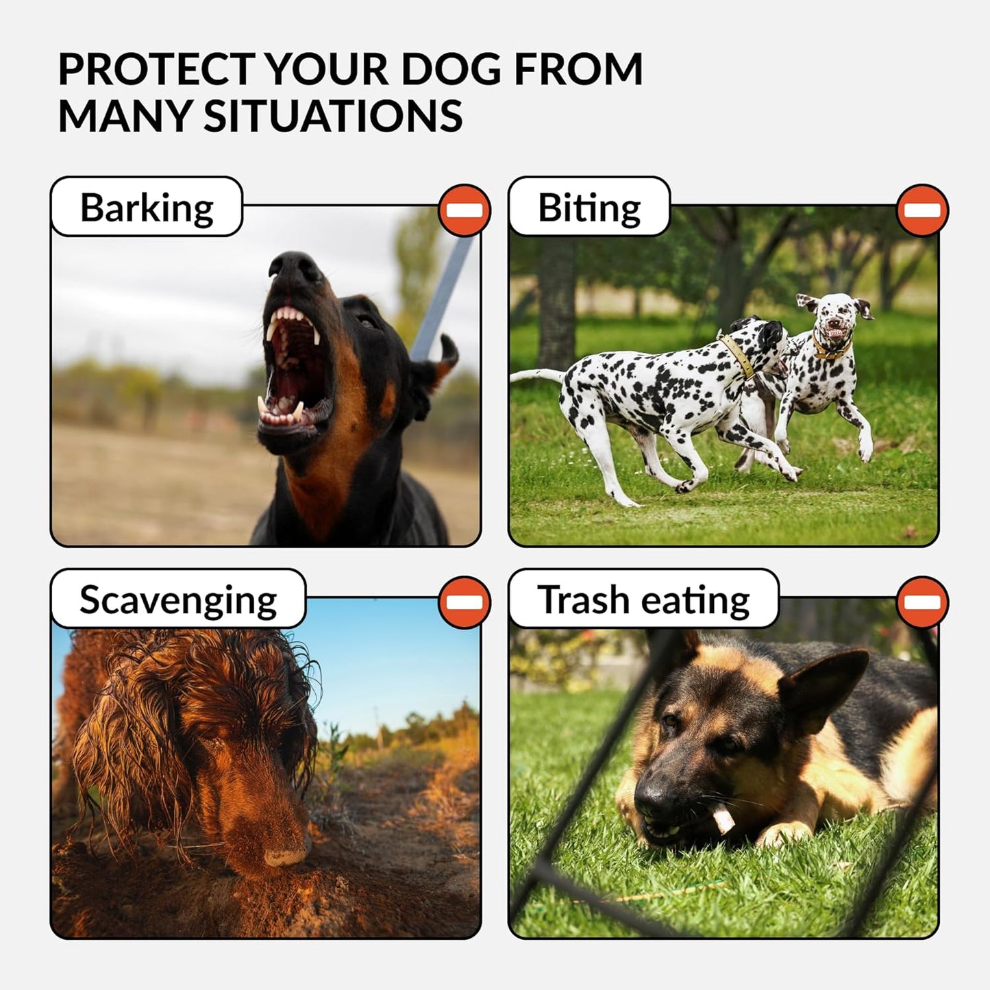 CollarDirect Dog Muzzle German Shepherd Dalmatian Doberman Setter Leather Basket Medium Large Breeds (Pink, Large)