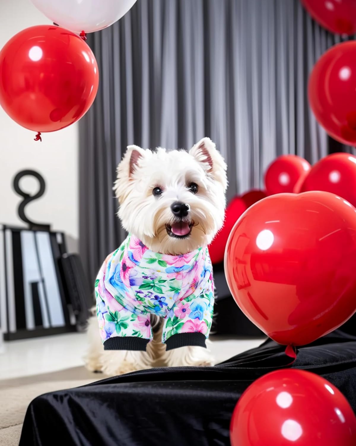 PET SHOW 4 Pack Small Dog Pajamas Cute Paw Bone Clothes for Medium Dogs Soft Stretchy PJs Plaid Jumpsuit Puppy Cats Floral Fruits Onesies Outfits with Sleeve Pets Dachshund Costume(M, Pink for Girls)