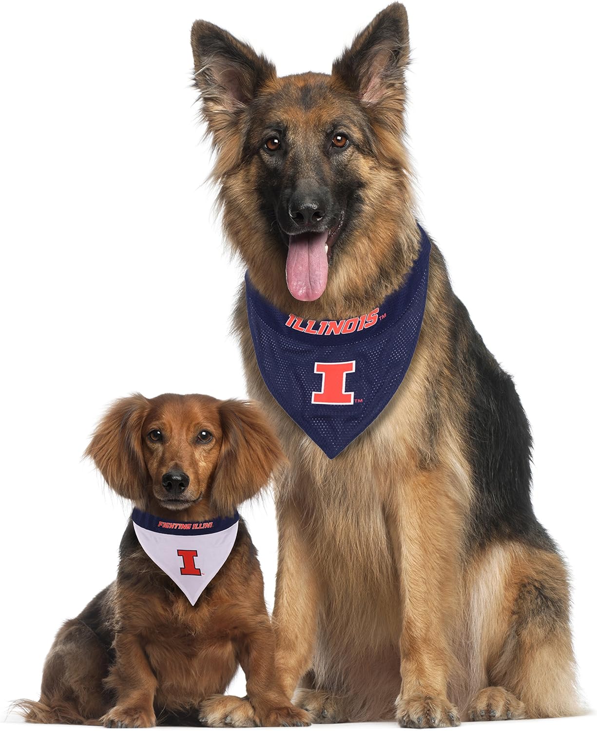 Pets First Collegiate Pet Accessories, Reversible Bandana, Illinois Fighting Illini, Small/Medium