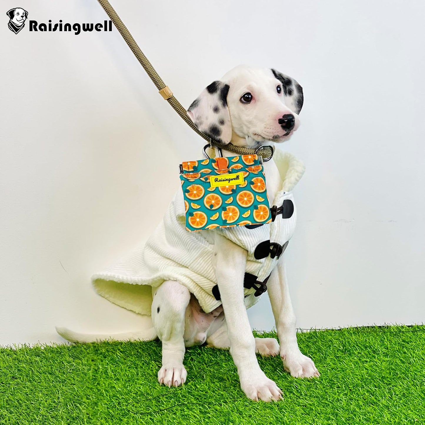 Dog Treat Pouch,Cotton Pocket Sized Training Holder, Hand Free Walking Funny Bag with Carabiner, Self-Closing Pet Feed Snack Reward, Behavior Aids for Puppy Travel or Outdoor Use(Fruit Orange)