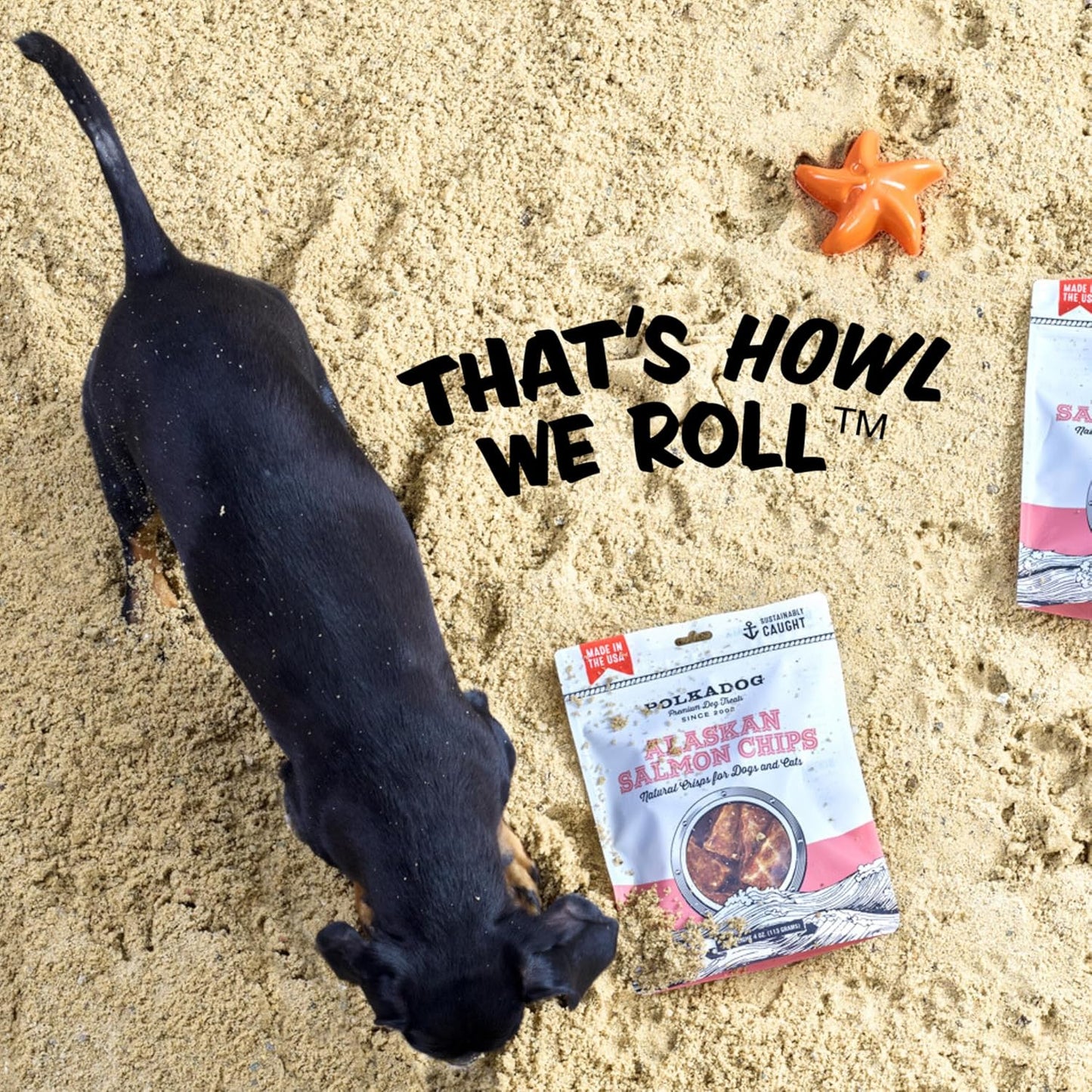 Polkadog Crunchy Alaskan Salmon Chips – Single Ingredient Dog Treats with Wild-Caught Salmon – All Natural, Grain-Free, Lean Protein & Omega-3 Rich Snacks for Dogs – Handcrafted in USA - 2.75 oz