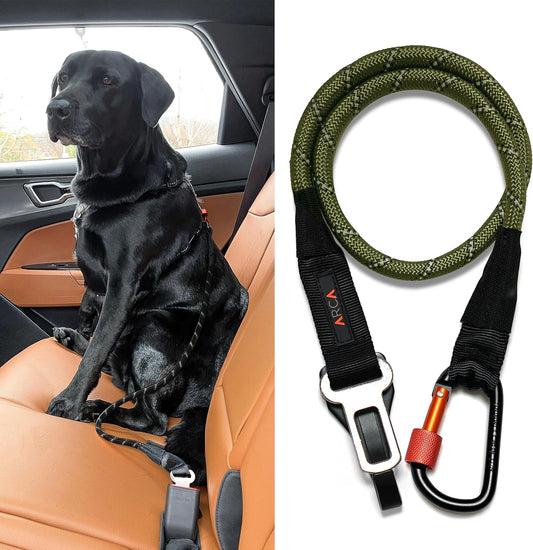 Dog Seat Belt for Car | Universal Dog Car Seatbelt | Durable Reflective Rope with Clip Hook Latch, Buckle and Carabiner- Safe and Secure Pet Safety Restraint (Army Green)