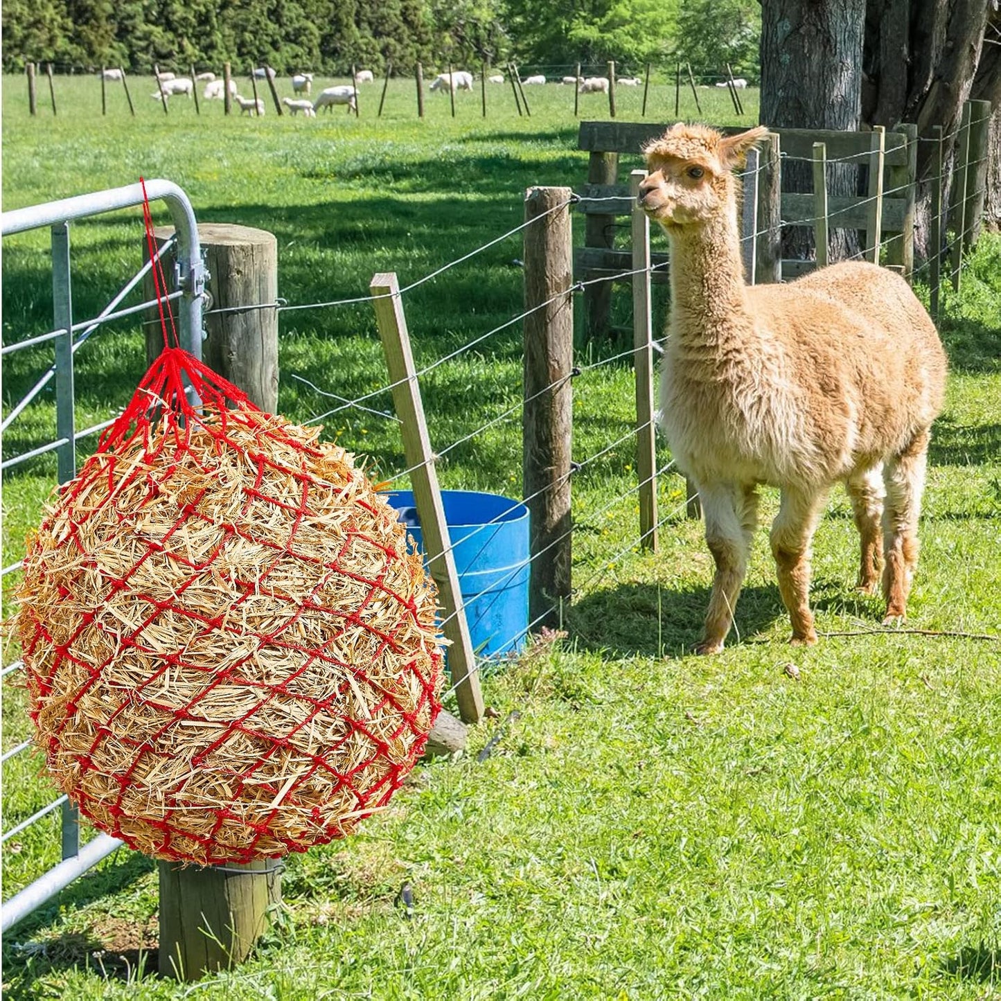 Fabbay 4 Pcs Slow Feed Hay Net Feeder Hay Bag for Horses Slow Feeder 40 Inch Length with 2 Inch Holes Hanging Horse Feed Net for Goat Cattle Equine Stalls Barn Supplies(Red)