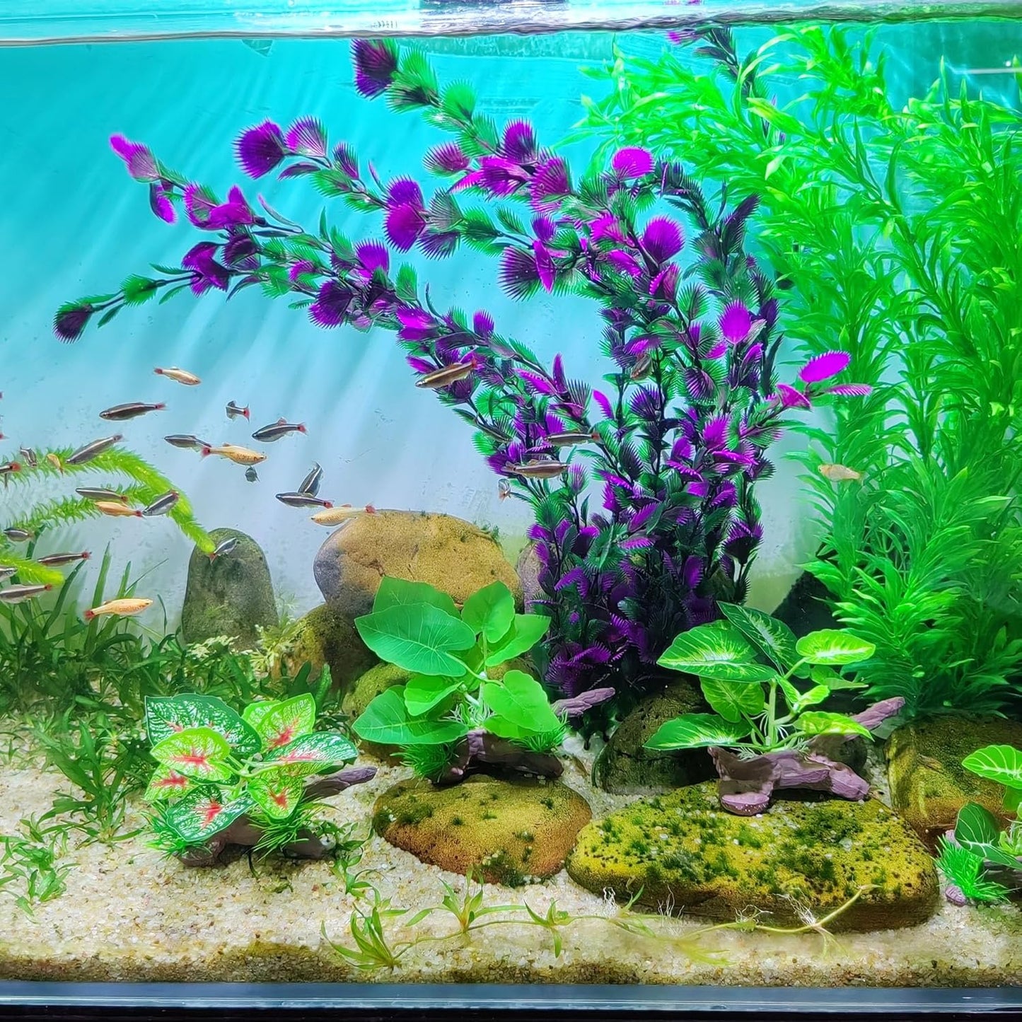 20.47 Inch Tall Aquarium Plants – Large Lifelike Artificial Fish Tank Decorations, 2 Pcs Fish Tank Plants Plastic,Durable & Safe for Freshwater/Saltwater Aquariums (Purple (Style C))