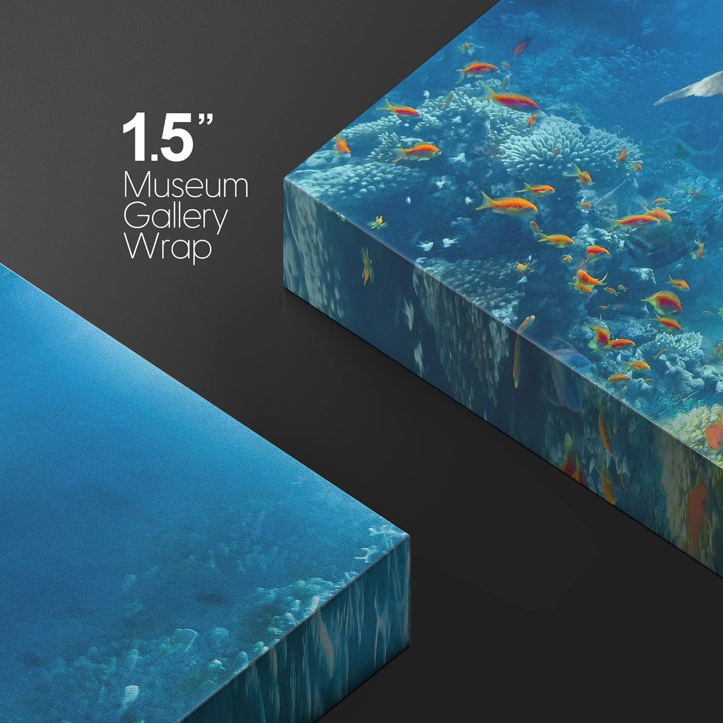 wall26 Canvas Print Wall Art Tropical Ocean Underwater Dolphin Coral Reef Nature Animals Photography Realism Rustic Scenic Landscape Wilderness Colorful for Living Room, Bedroom, Office - 32"x48"