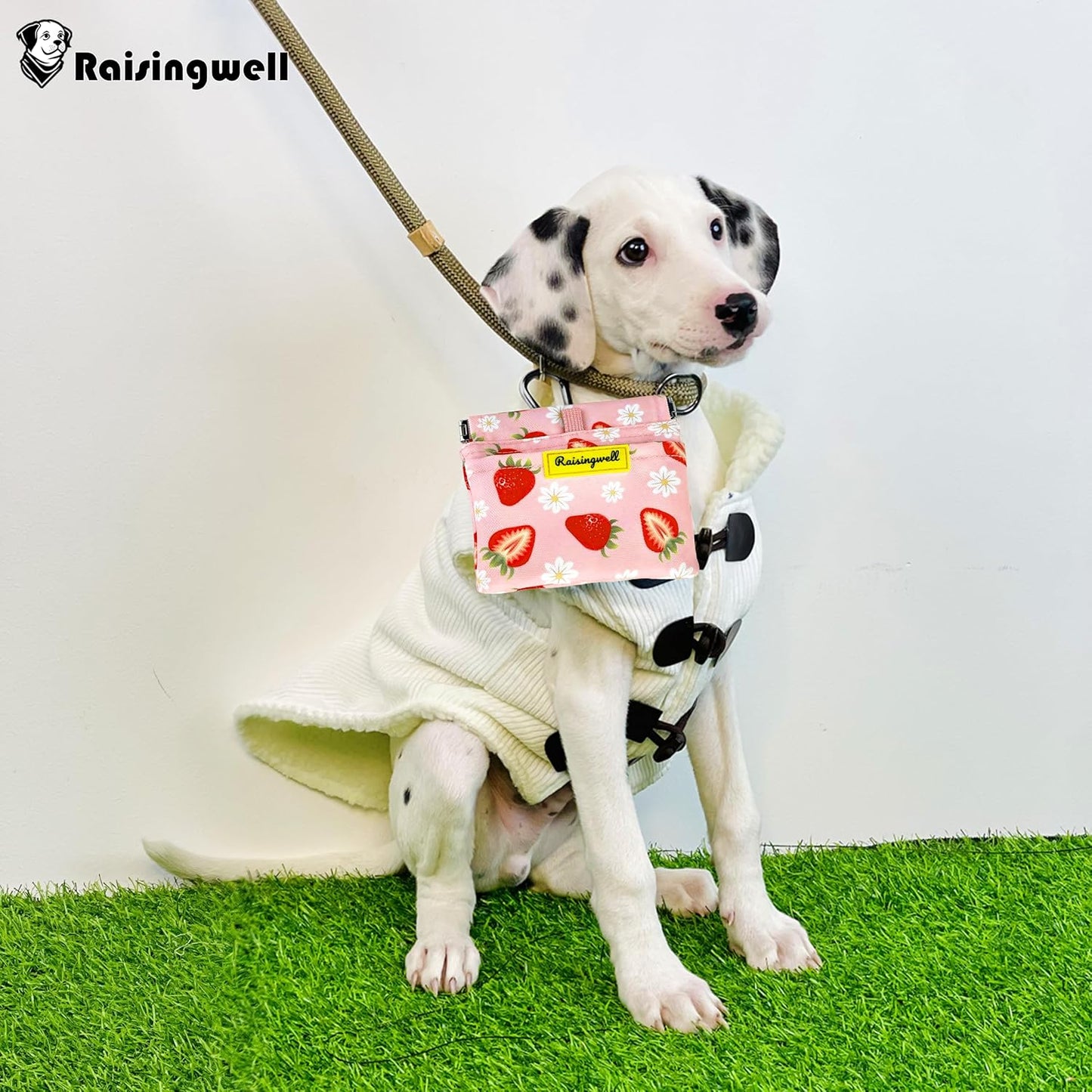 Dog Treat Pouch,Cotton Pocket Sized Training Holder, Hand Free Walking Funny Bag with Carabiner, Self-Closing Pet Feed Snack Reward, Behavior Aids for Puppy Travel or Outdoor Use(Strawberry)