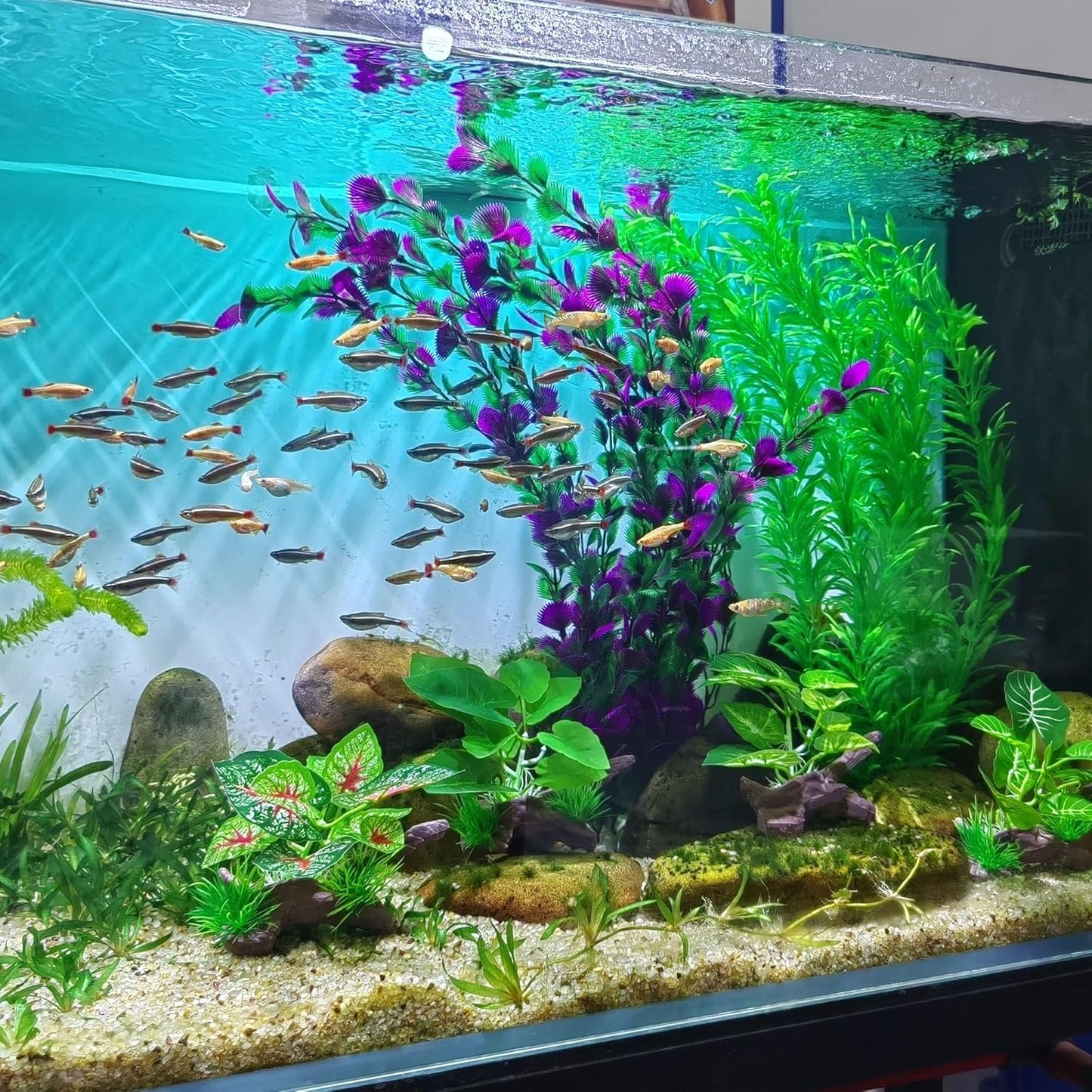 20.47 Inch Tall Aquarium Plants – Large Lifelike Artificial Fish Tank Decorations, 2 Pcs Fish Tank Plants Plastic,Durable & Safe for Freshwater/Saltwater Aquariums (Green (Style D))