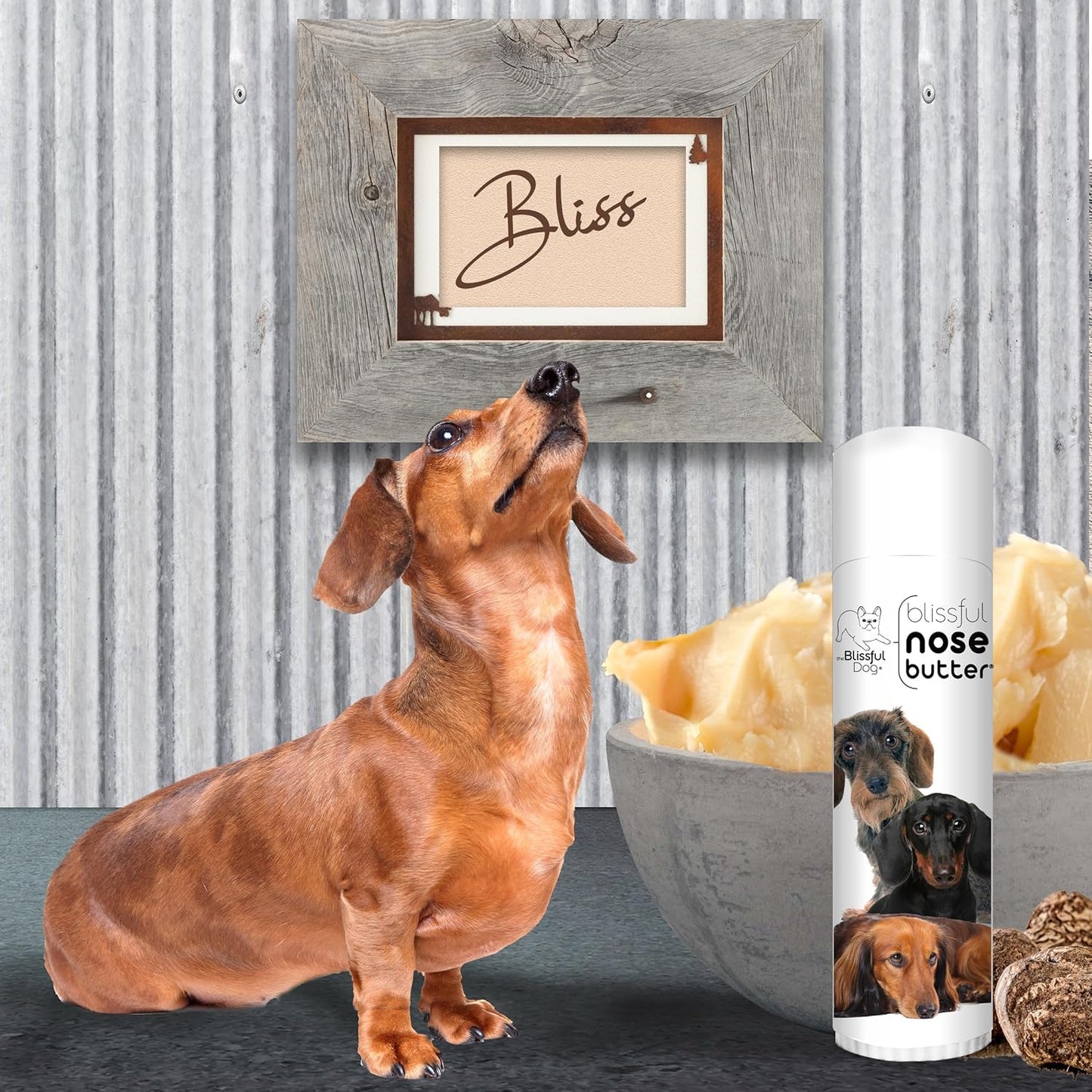 The Blissful Dog Daschund Nose Butter for Dry, Cracked Skin, Lick-Safe Dog Nose Balm with Moisturizing Shea Butter, Almond, Olive, and Essential Oils, Pet Supplies, Uncented, 0.50 oz.