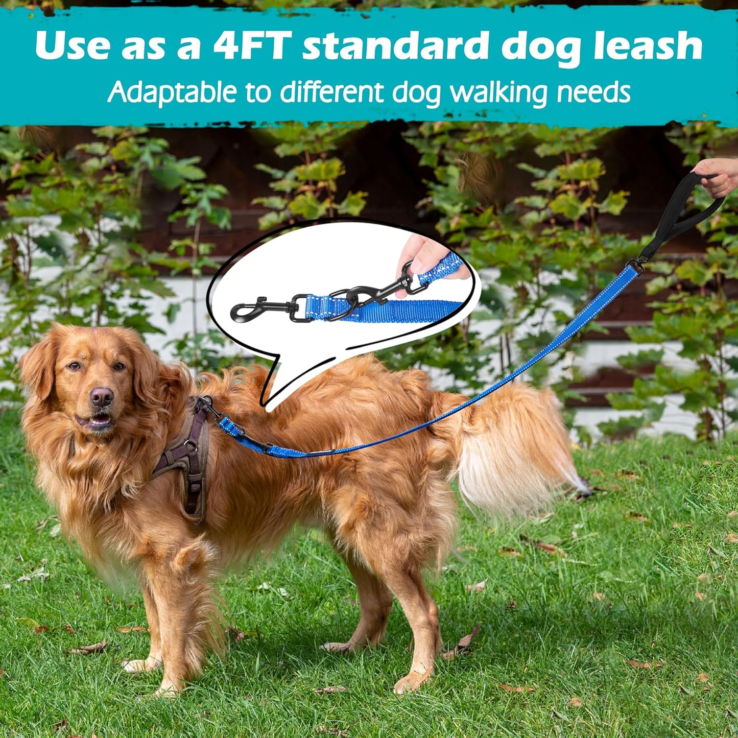 PetBonus Two Point Control Dog Leash, Works with No Pull Harnesses, No Tangle Dog Training Leashes, No Pull Padded and Reflective Walking Lead, Converts to Single Leash for Medium Large Dogs (Blue)