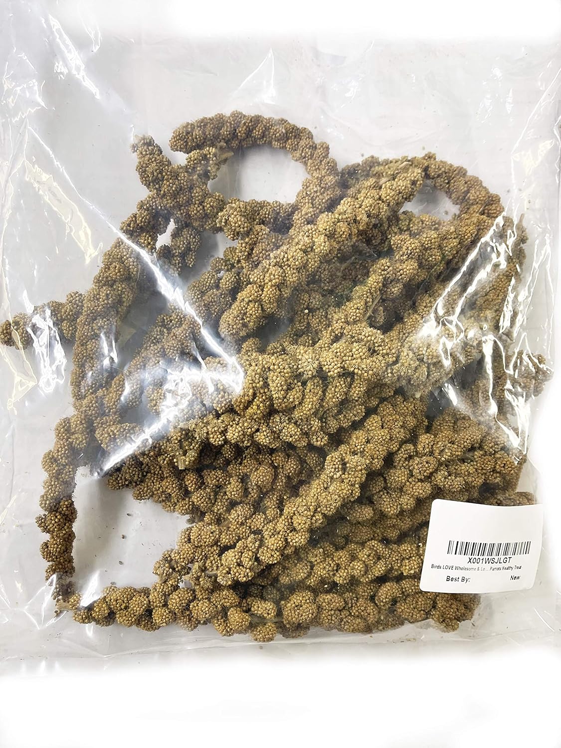 Birds LOVE Spray Millet – 1 lb GMO-Free, No Stems (Edible Tops Only) – Healthy Treat for Cockatiels, Lovebirds, Parakeets, Finches & Canaries