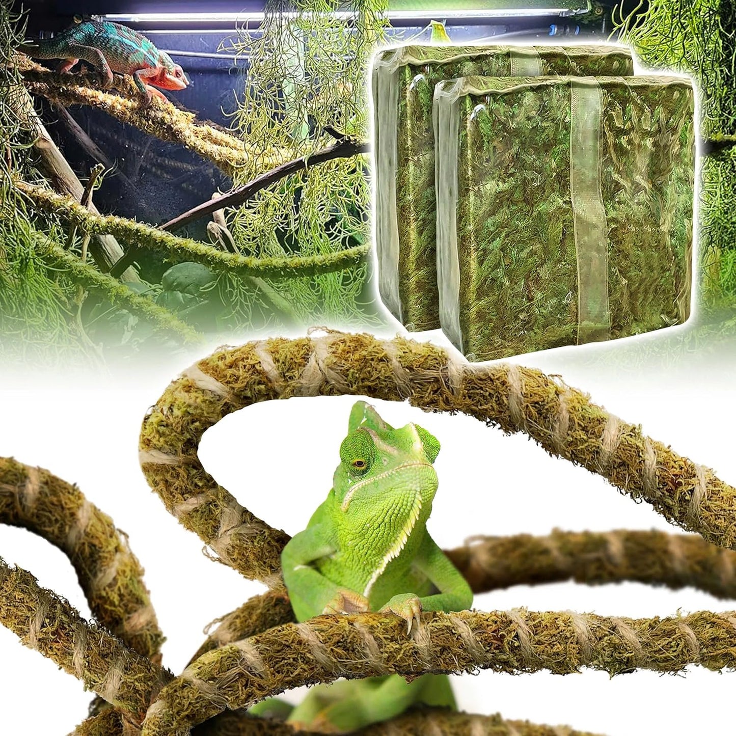 Duspro Reptile Decor Set Including 10FT Reptile Vine Climbing Bendable Branch & 04 OZ Natural Dried Forest Moss Bag Ideal for Bearded Dragon Chameleon Snake Gecko Lizard Terrarium Tank Accessories