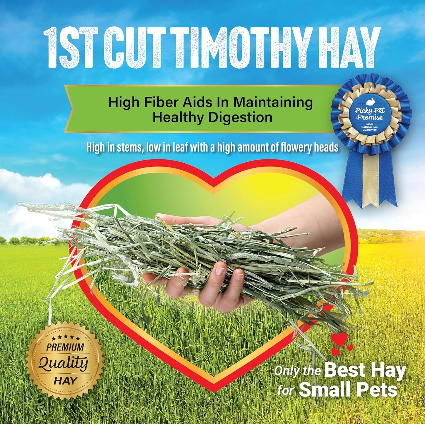 Small Pet Select 1st Cut Timothy Hay Pet Food for Rabbits, Guinea Pigs, and Other Small Animals, Easy to Store Box, 10 LB