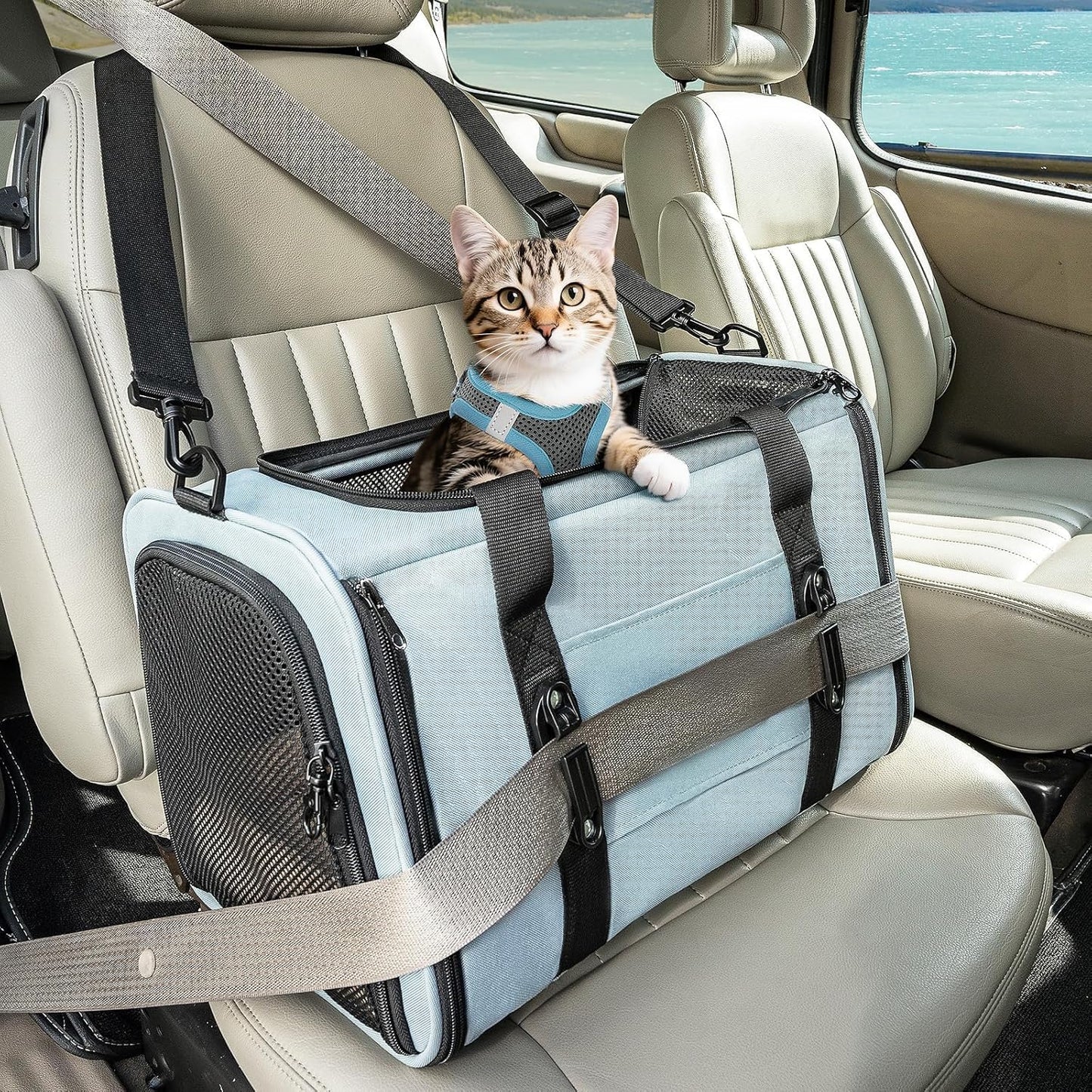 PETSFIT Soft-Sided Cat Carriers & Car Seats with Patent Safe Buckles, Clip-On Harness,18"x11"x11" Airline Approved Pet Carrier - 9 lbs Capacity (Cyan Blue)