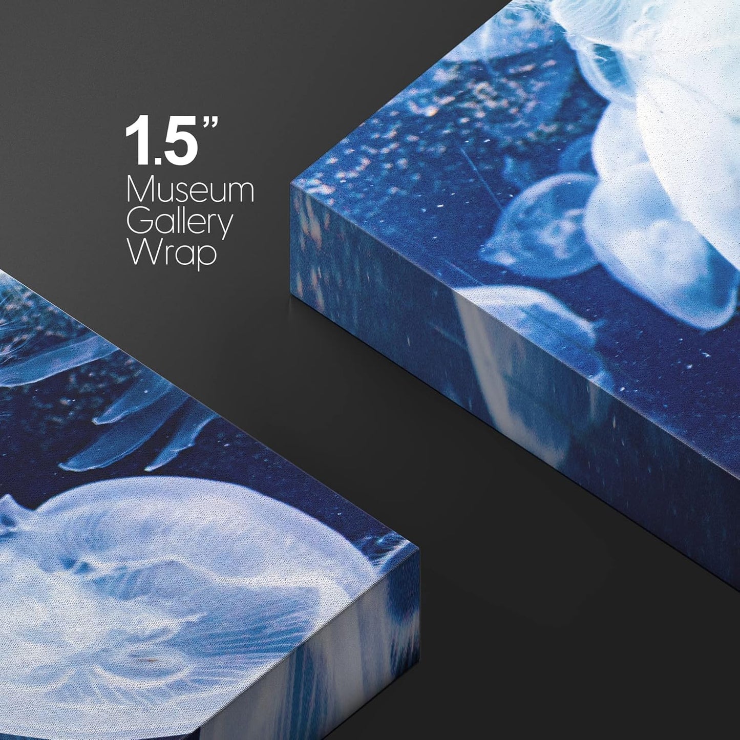 wall26 Canvas Print Wall Art Translucent X-Ray Tropical Ocean Jellyfish Nature Animals Photography Realism Rustic Scenic Landscape Wilderness Earth for Living Room, Bedroom, Office - 24"x36"