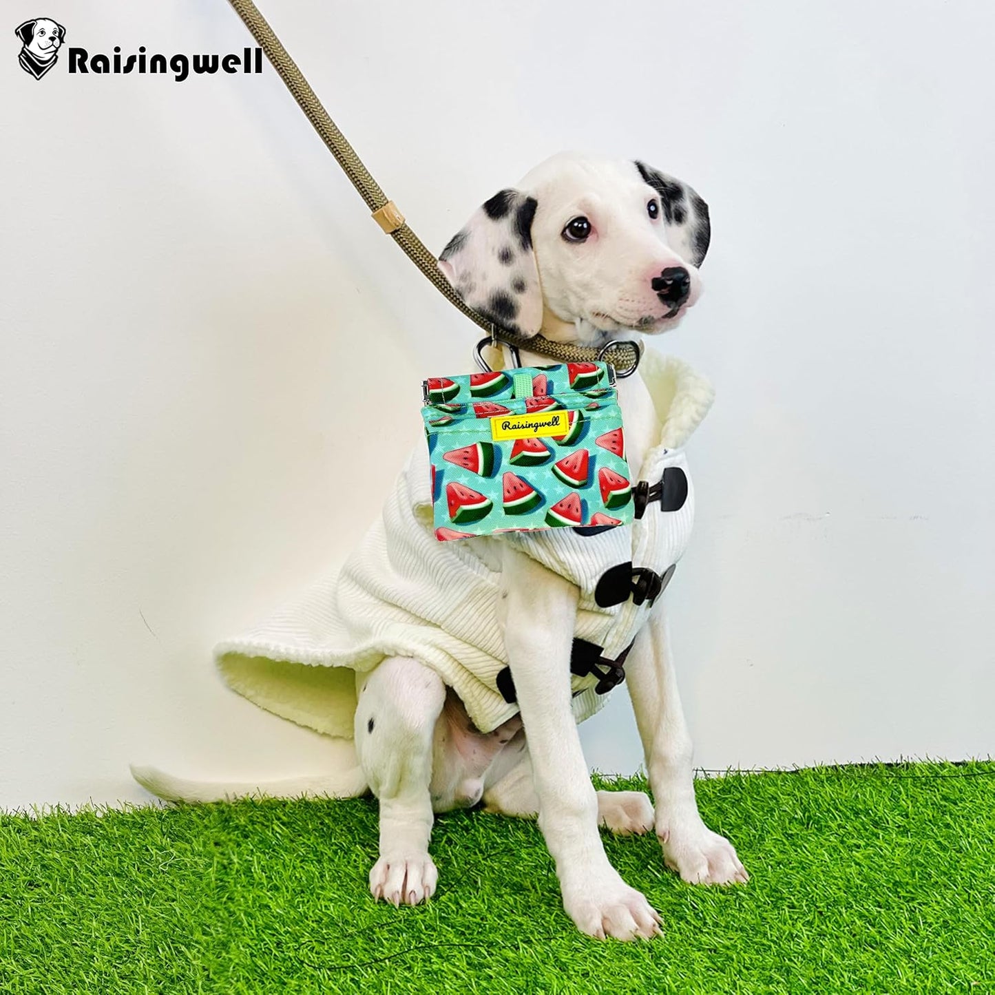 Dog Treat Pouch,Cotton Pocket Sized Training Holder, Hand Free Walking Funny Bag with Carabiner, Self-Closing Pet Feed Snack Reward, Behavior Aids for Puppy Travel or Outdoor Use(Watermelon)