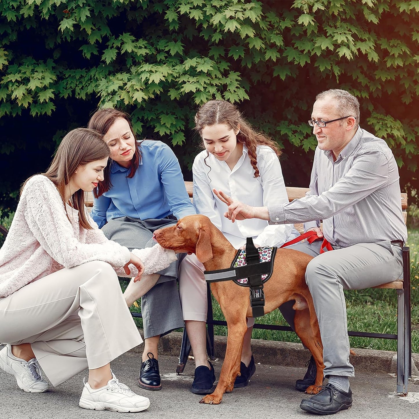 Dogline Dog Harness, Reflective No-Pull Adjustable Vest with Handle for Walking, Training, Breathable, No - Choke Harness for Small, Medium or Large Dogs Room for Patches Leopard Rainbow XS 15"-18"