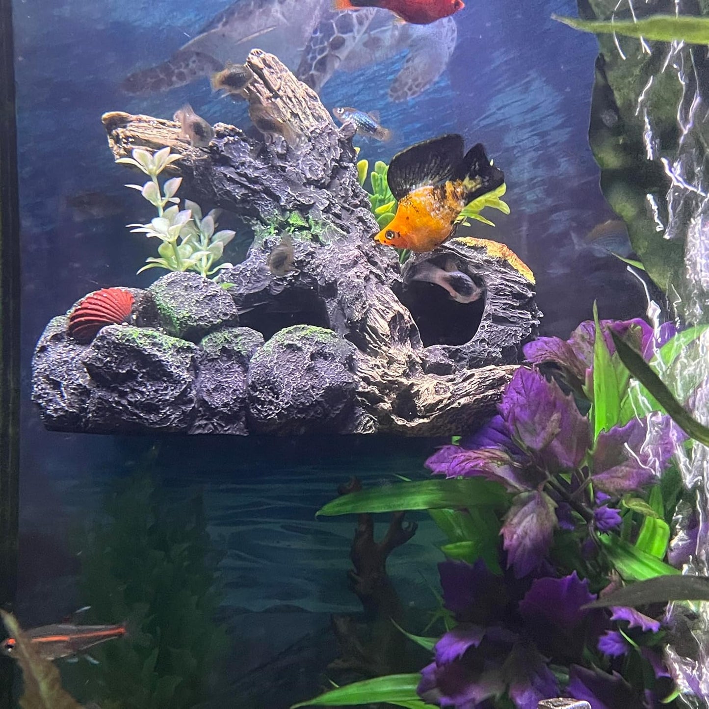 Aquarium Decor Magnetic Driftwood Outcropping Ornament – Wall-Mounted Fish Tank Decoration – Unique Realistic Aquarium Fish Hideout