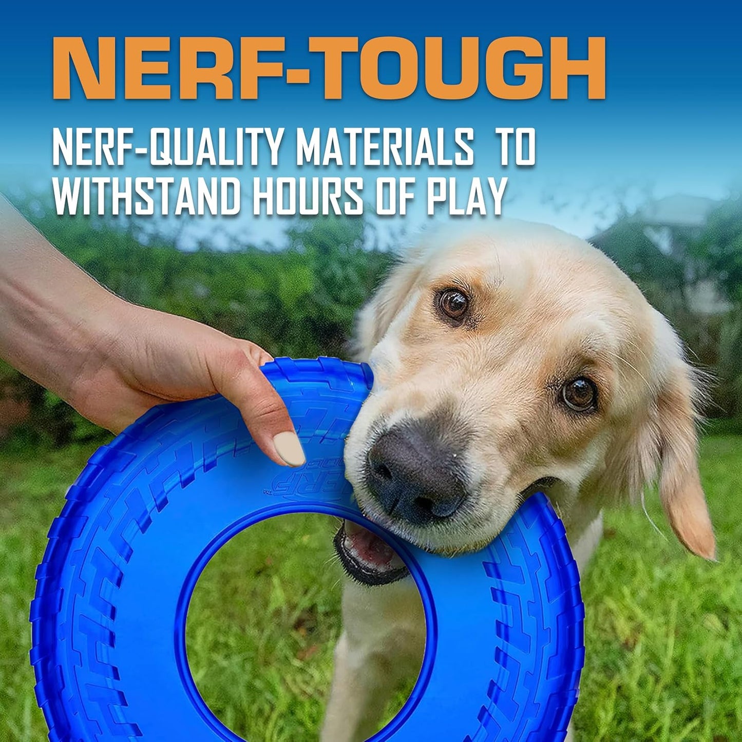 Nerf Dog Tire Flyer Dog Toy Gift Set, 10 Inch Flying Disc Dog Fetch Toys, Rubber Dog Toy for Medium Dogs and Large Dogs, Red, Translucent Green and Translucent Blue, 3 Count