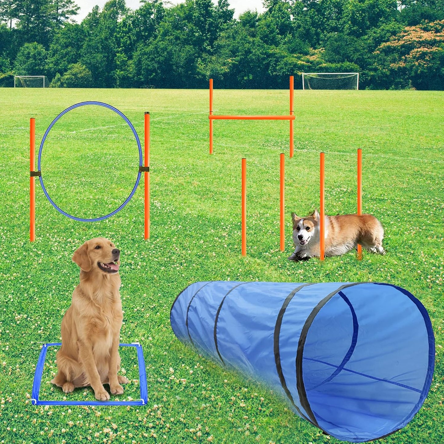 Dog Agility Training Equipment, Obstacle Agility Training Starter Kit for Doggie, Including Tunnel, 13 Weave Poles, Adjustable Hurdle, Jump Ring, Pause Box and Carrying Bag(Blue)