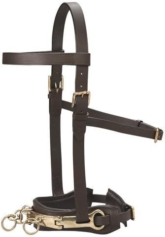 Dover Saddlery Leather Lunge Caveson, Size: C/S