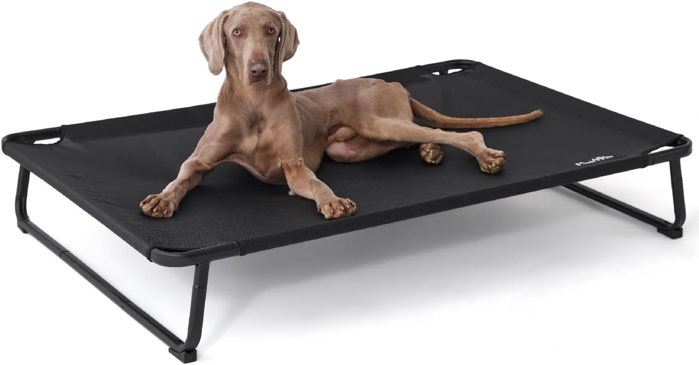 Made4Pets Raised Dog Bed for XXL Dogs - Outdoor Elevated Pet Cot with Snap-in Legs, Washable Mesh, Non-Slip Feet, Durable & Chew-Resistant Hammock Bed, Indoor & Outdoor Use, 54"x37", Black