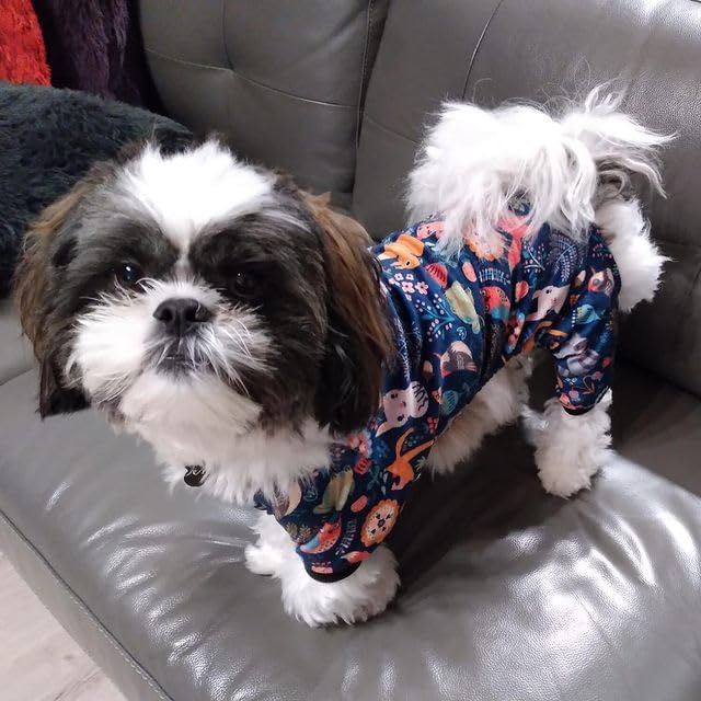 CuteBone Small Dogs Outfit Soft Puppy Onesies Pjs Dog Pajamas Pet Coat Cat Apparel Comfy Doggie Jumpsuit Bodysuit for All Seasons P75L