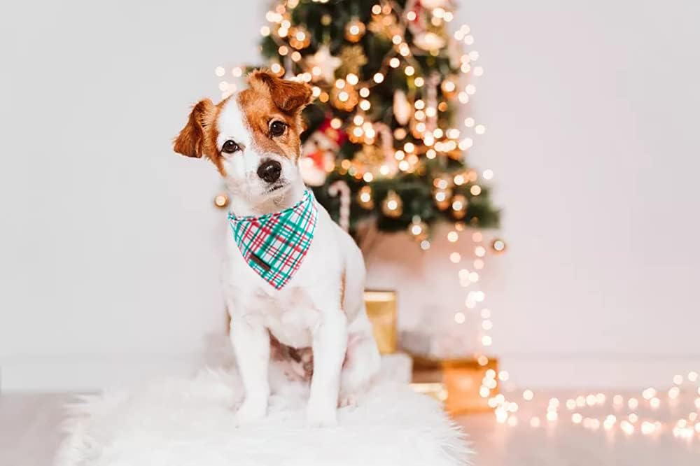 Lionet Paws Christmas Dog Bandana,Fabric Dogs Kerchief for Small Medium Dogs,Dog Cotton Triangle Bibs Scarf for Girl Boy