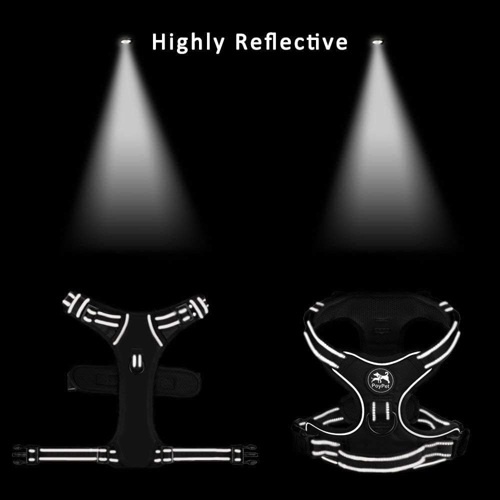 PoyPet No Pull Dog Harness, Reflective Comfortable Vest Harness with Front & Back 2 Leash Attachments and Easy Control Handle Adjustable Soft Padded Pet Vest for Small to Large Dogs (Light Blue,L)