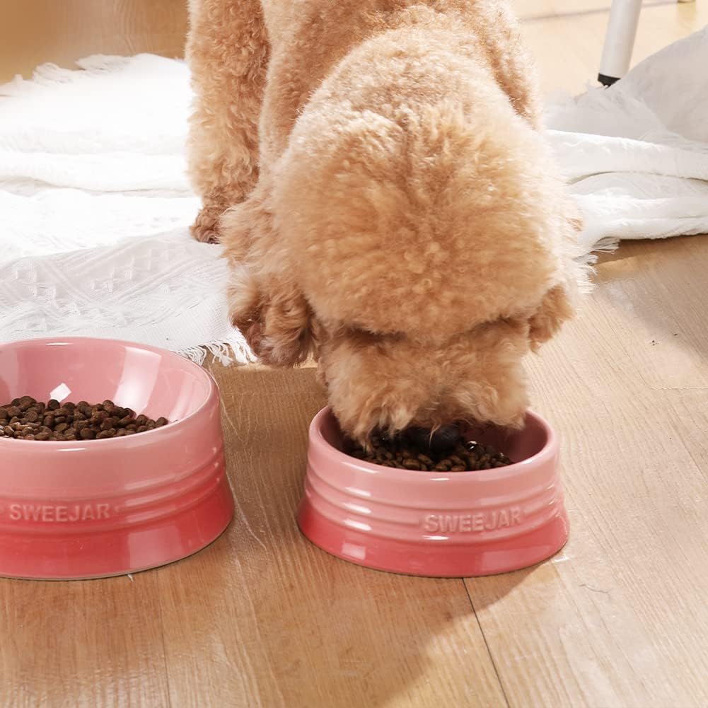 Sweejar Ceramic Dog Bowl, 32 oz, Gradient Pink, Porcelain Pet Dish for Food and Water, Non Skidding, Easy to Clean, Durable, Dishwasher Safe, Minimalist Design