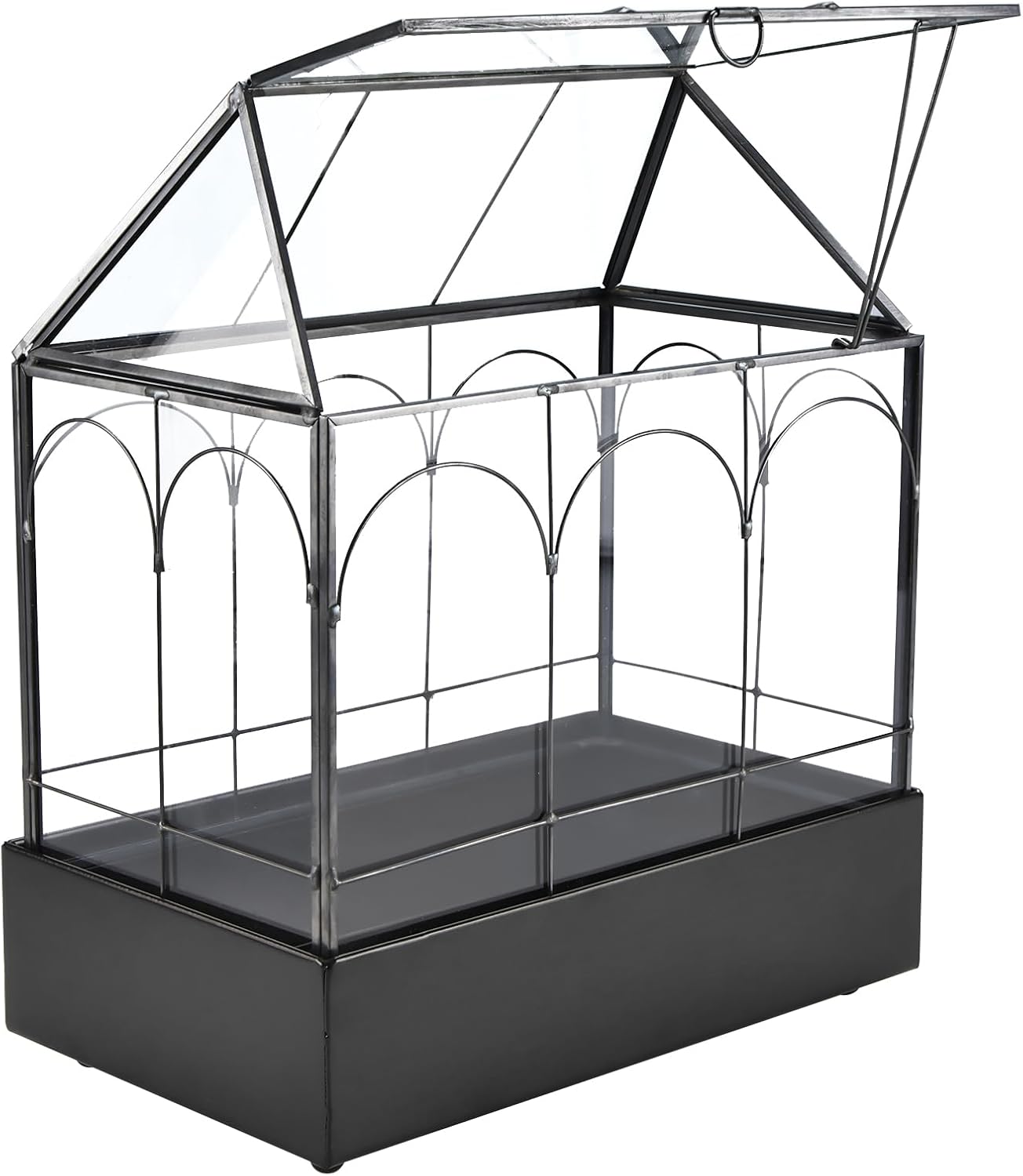 HighFree Glass Terrarium with Metal Tray, Glass Greenhouse Terrarium Kit for Succulents, Cacti, Snails, Spiders, and Miniature Reptiles, Black (Large-9.45" L x 5.7" W x 11.8" H)
