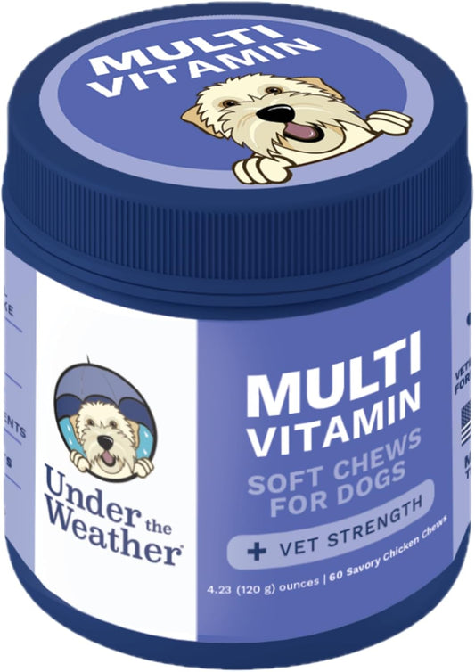 Under the Weather Multivitamin for Dogs | Vet Formulated Daily Canine Health Supplies for Immunity, Skin, Coat & Joint Support | All-in-One Multivitamin for Dogs of All Breeds & Sizes | 60 Count