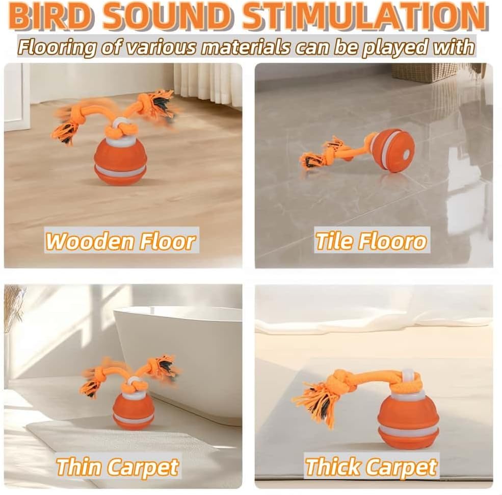 Interactive Dog Toys, Squeaky Dog Toys, Active Rolling Ball for Puppy and Medium Dogs, Squeaky, USB Rechargeable (Blue)