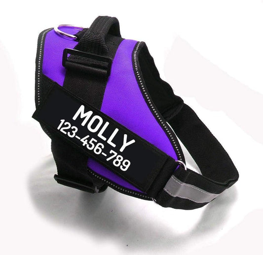 PawPawify Custom No Pull Dog Harness with Name and Phone Number, Heavy Duty Personalized Pet Vest to Prevent Tugging, Pulling, or Choking, Training and Walking (Purple, XL (60-85 LBS))