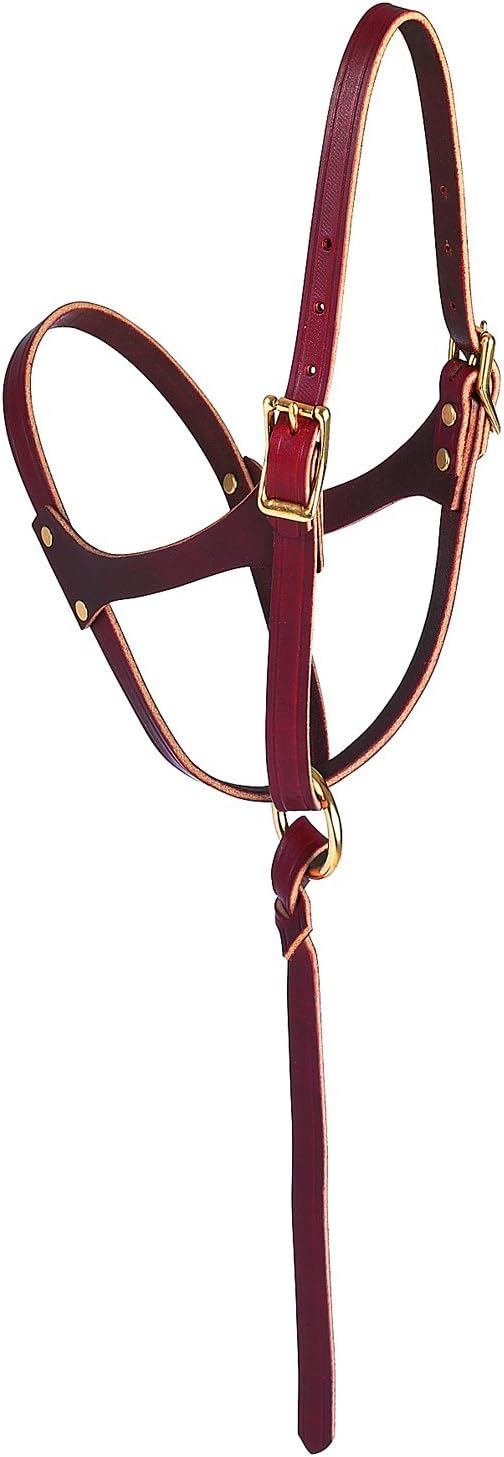Weaver Leather Figure-8 Foal Halter Russet, 5/8"
